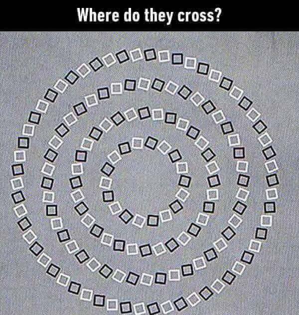 Where_do_they_cross